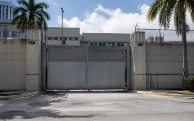 Andrew și Tristan Tate cer eliberarea pe cauțiune la Miami în timp ce contestă extrădarea în Regatul Unit